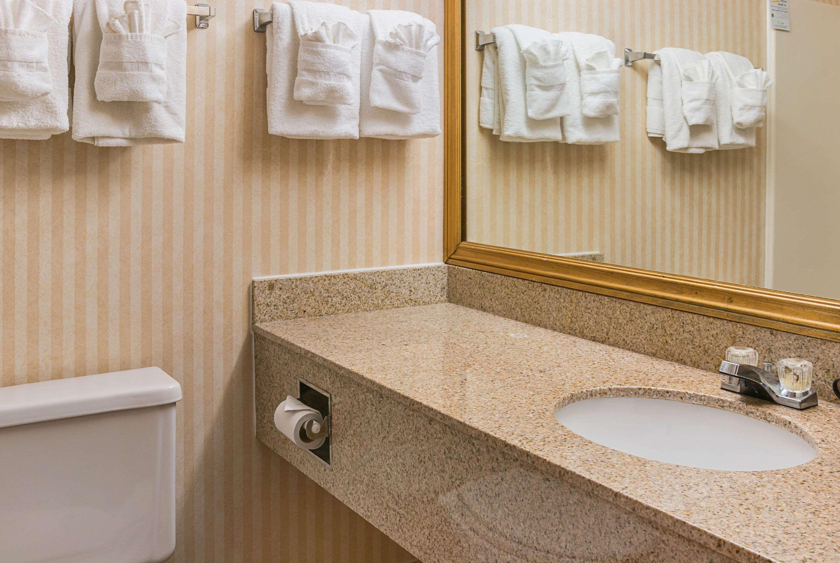 Quality Inn & Suites Detroit Metro Airport Romulus Zewnętrze zdjęcie